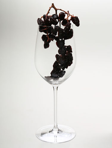 ウィスキーやワインに合う「枝付きレーズン燻製」の画像
