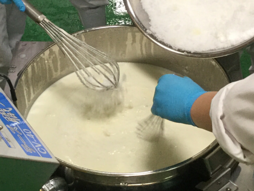 農芸高校の生徒さんたちと燻製BALPAL工場でのクリームチーズ作り